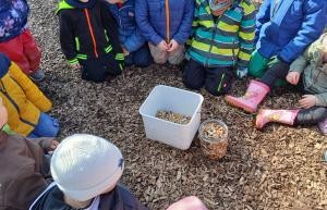 Wilder Müll rund um einen öffentlichen Mülleimer