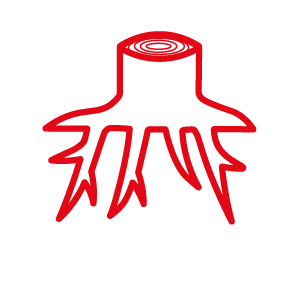 Piktogramm Wurzelstock